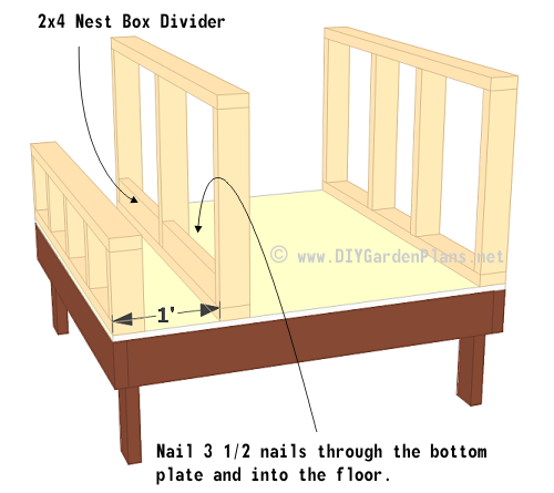 Nail chicken coop left wall frame to floor.