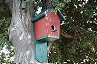 DIY Bluebird House