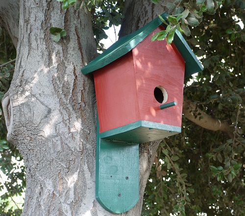 how to build your own bluebird house