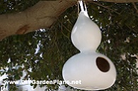 How to Make a Gourd Bird House