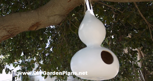 gourd bird house