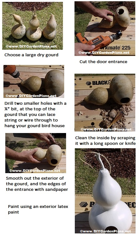 how to make a gourd bird house pictures