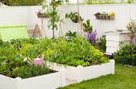 Organic Gardening For Tight Spaces